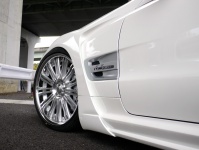   Mercedes-Benz R230 Black Bison Edition    SEMA Show 2011