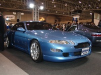   -  Tokyo Auto Salon with NAPAC