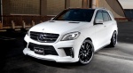   WALD BLACK BISON  M-class W166