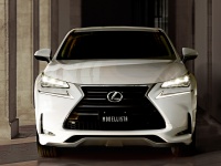 TRD  MODELLISTA     Lexus NX