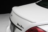 Спойлер багажника WALD Sports Line Black Bison Edition для Mercedes-Benz S-Class W221 09~